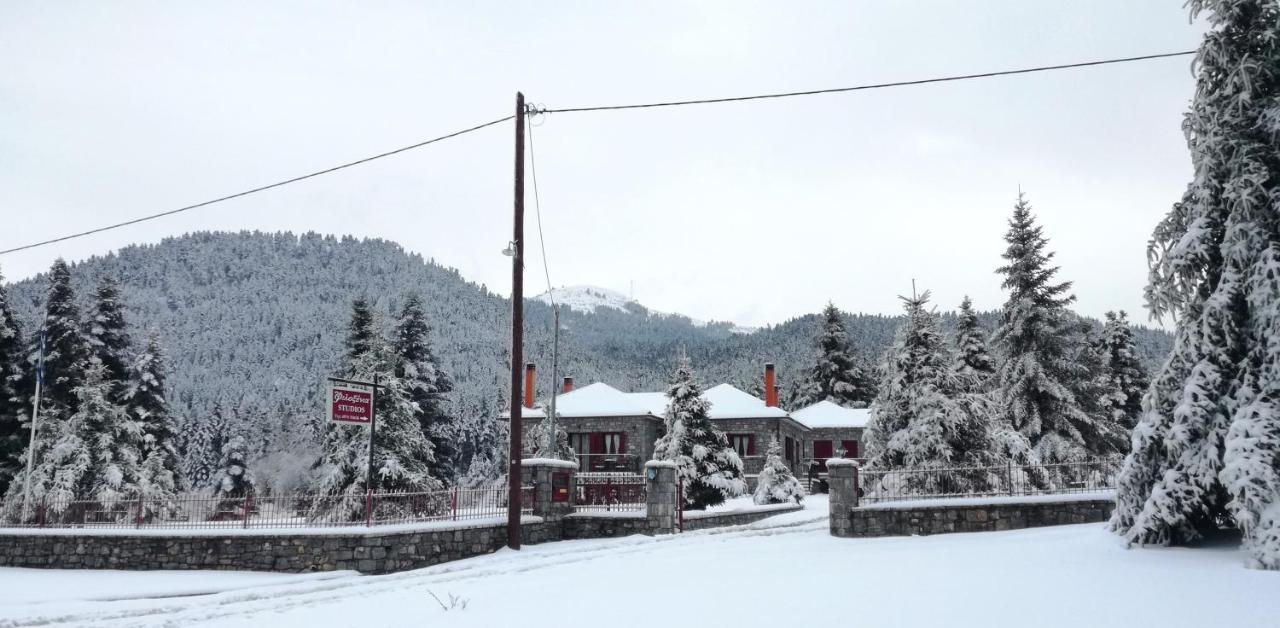 Φιλοξένια Studios Vitina Exterior foto